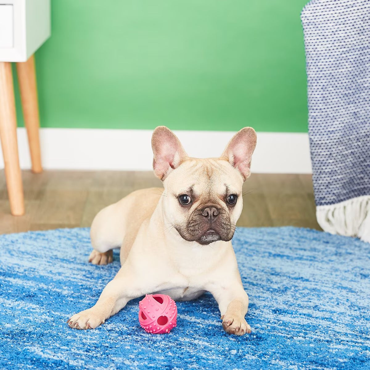 FurryFido Interactive Treat Dispensing Football Dog Chew Toy