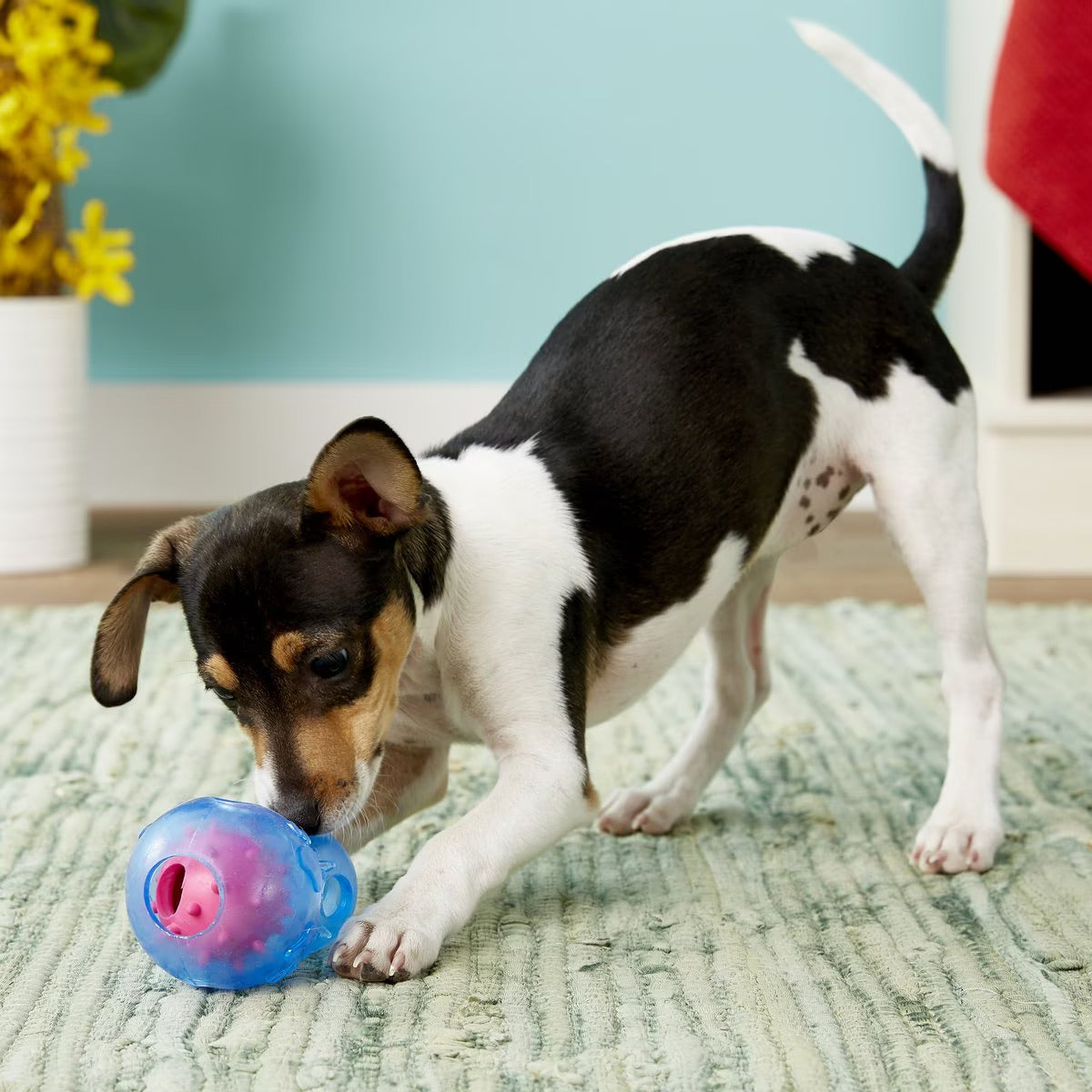 FurryFido Interactive Treat Dispensing Calabash Dog Chew Toy